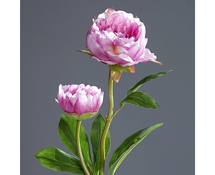 Kunstblume Pfingstrose mit 2 Blüten 60cm DP Seidenblumen künstliche Blumen günstig online kaufen