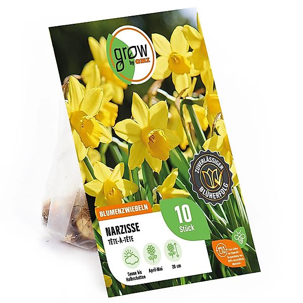 GROW by OBI Narzisse TEte-à-TEte Gelb 10 Stück Narcissus TEte-à-TEte günstig online kaufen