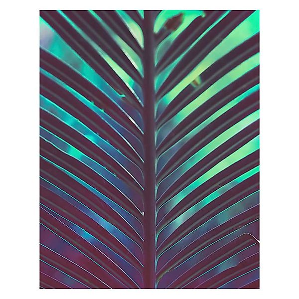 Komar Wandbild Hide Palmenblätter B/L: ca. 40x50 cm günstig online kaufen