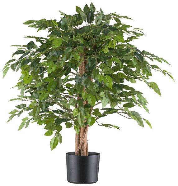 Kunstpflanze Ficus benjamina, Creativ green, Höhe günstig online kaufen