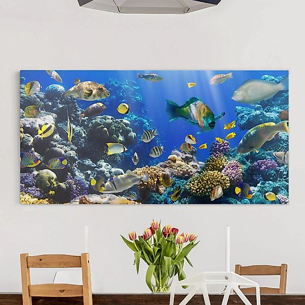 Leinwandbild - Querformat Underwater Reef günstig online kaufen