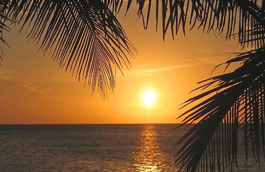 Papermoon Fototapete »SONNENUNTERGANG-PALMEN STRAND MEER SEE OZEAN KARIBIK« günstig online kaufen