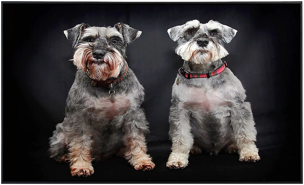 Papermoon Infrarotheizung »Hunde«, sehr angenehme Strahlungswärme günstig online kaufen