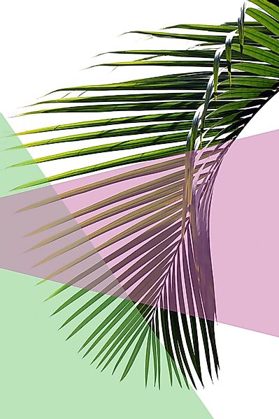 queence Acrylglasbild "Blätter" Blätter  Blätterbilder  Kunst  Pflanzen  Pf günstig online kaufen