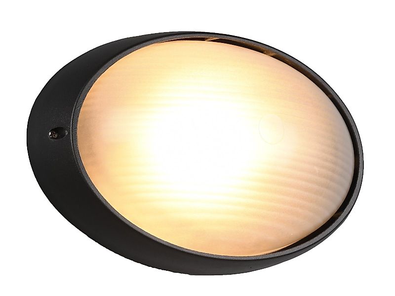 TRIO Leuchten Außen-Wandleuchte, ohne Leuchtmittel, oval, günstig online kaufen