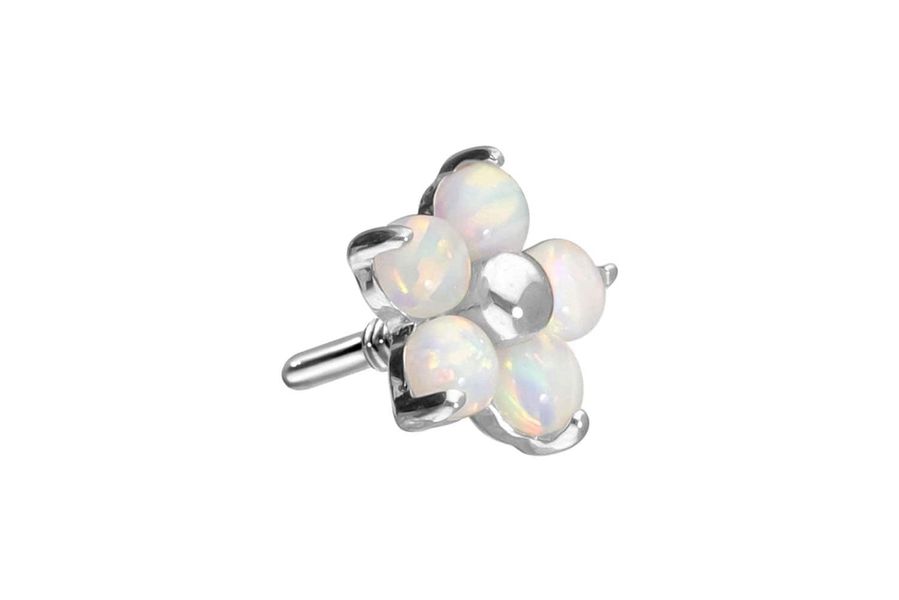 PIERCINGLINE Piercing-Set 14 Karat Gold Schraubaufsatz günstig online kaufen