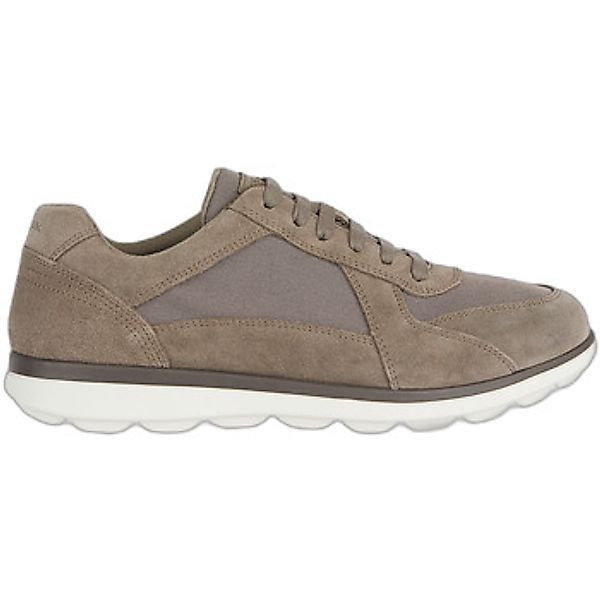 Geox  Sneaker Baskets  Spherica günstig online kaufen