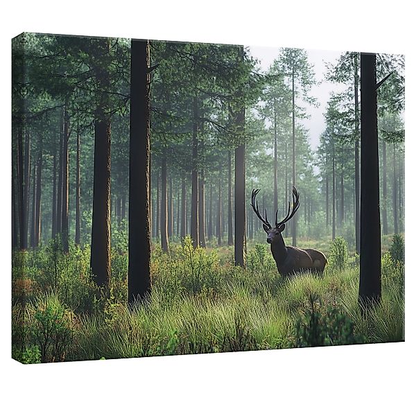 Wallarena Leinwandbild Wald Hirsche Natur Landschaft günstig online kaufen