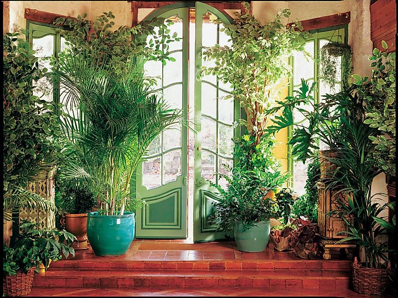 Papermoon Fototapete Larit Jardin, glatt günstig online kaufen