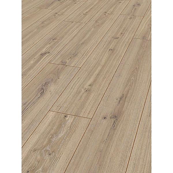 Jangal Laminatboden Oak State Park Line Plus Tula günstig online kaufen