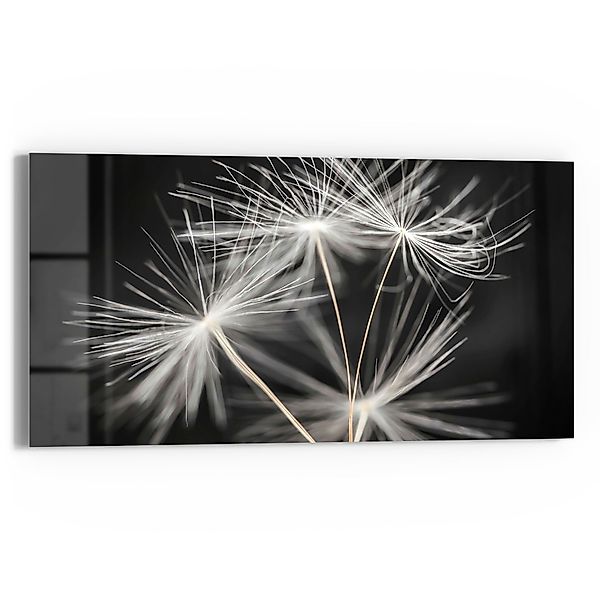 DEQORI Glasbild 'Samen der Pusteblume', 'Samen günstig online kaufen