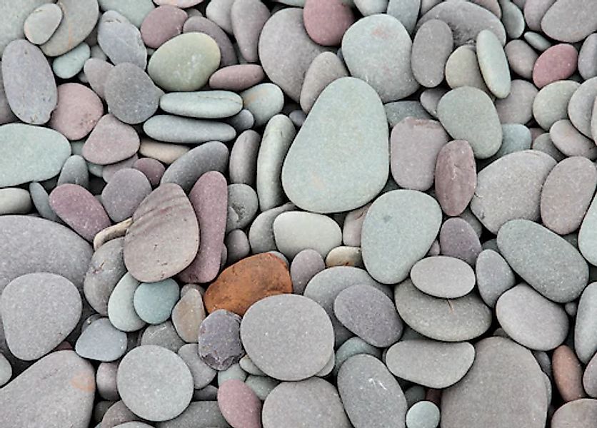 Papermoon Fototapete »Pebbles« günstig online kaufen