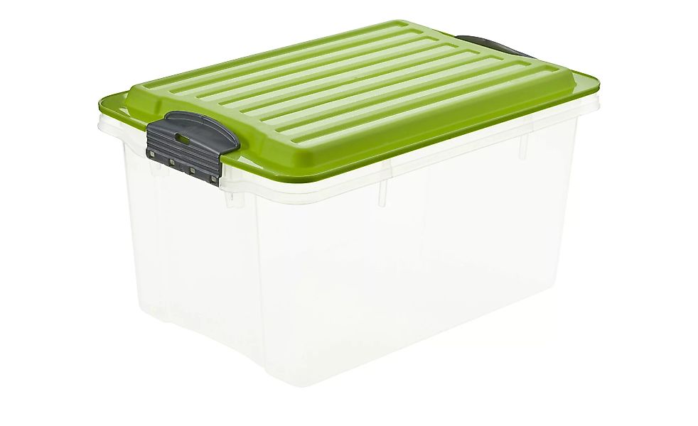 Rotho Aufbewahrungsbox mit Deckel - grün - 18,5 cm - 15 cm - Sconto günstig online kaufen