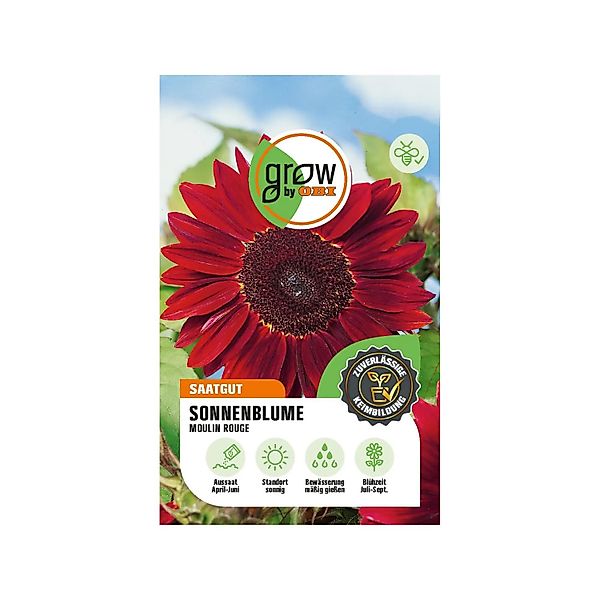 GROW by OBI Sonnenblumen Moulin Rouge günstig online kaufen