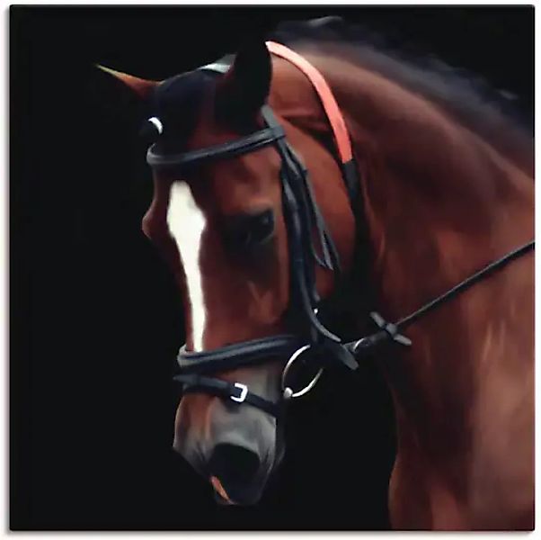 Artland Leinwandbild "Dressur Pferd", Haustiere, (1 St.), auf Keilrahmen ge günstig online kaufen