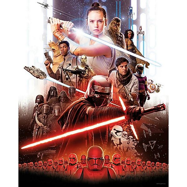 Komar Wandbild Star Wars Movie Poster Rey Star Wars B/L: ca. 40x50 cm günstig online kaufen