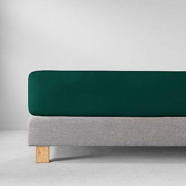 Estella Bettlaken "Feinjersey" Rundumgummi günstig online kaufen