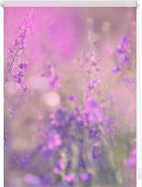 LICHTBLICK ORIGINAL Seitenzugrollo "Klemmfix Motiv Blumenwiese" Lichtschutz günstig online kaufen