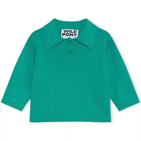 Wild Pony  Pullover Knit 10603 - Green günstig online kaufen