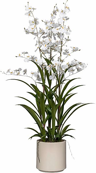 Creativ green Kunstorchidee "Orchidee Oncydie", im eleganten Topf günstig online kaufen