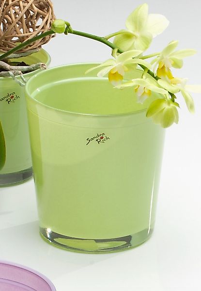 Sandra Rich Blumentopf Orchideentopf Orchid konisch günstig online kaufen