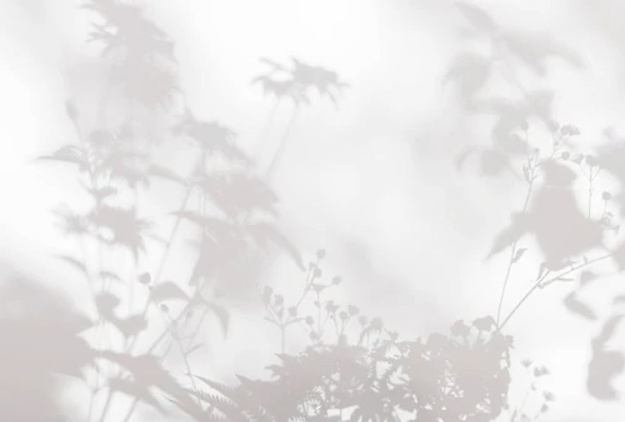 living walls Fototapete »Walls by Patel Shadow Room« glatt Vlies, Wand günstig online kaufen