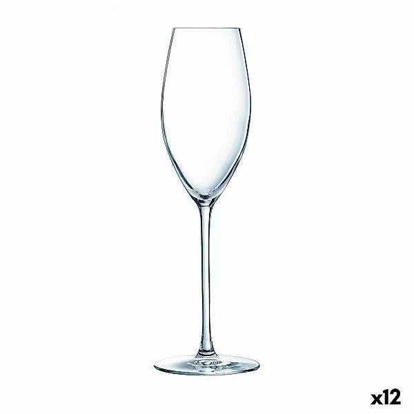 Champagnerglas Luminarc Grand Chais Durchsichtig Glas (240 Ml) (12 Stück) günstig online kaufen