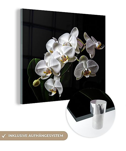 MuchoWow Acrylglasbild Orchidee - Blumen - günstig online kaufen