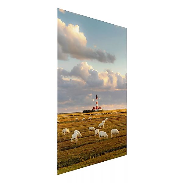 Alu-Dibond Bild Natur & Landschaft - Hochformat 2:3 Nordsee Leuchtturm mit günstig online kaufen
