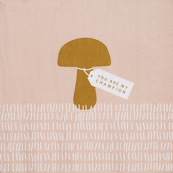 Papier Servietten mit Spruch "You are my Champion" 33 x 33 cm, 3-lagig günstig online kaufen