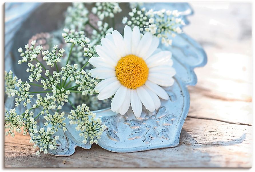 Artland Leinwandbild "Zarte Margeriten Blüte", Blumen, (1 St.), auf Keilrah günstig online kaufen