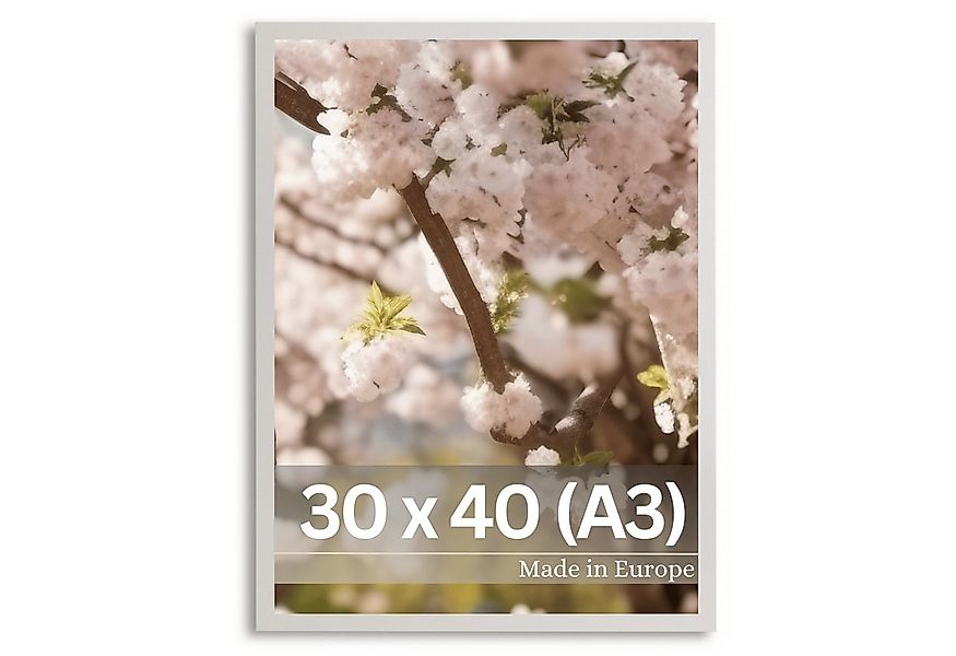 Victor (Zenith) Bilderrahmen Klee, Bilderrahmen Grau 30x40 cm, Bilderrahmen günstig online kaufen