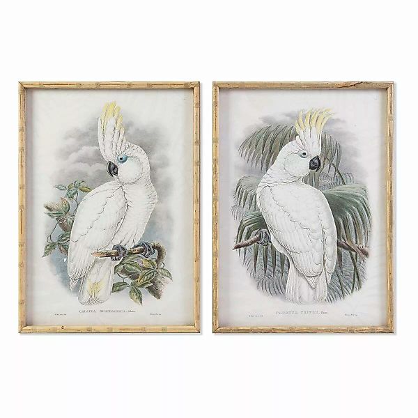 Bild Dkd Home Decor Kolonial Papagei (50 X 2,8 X 70 Cm) (2 Stück) günstig online kaufen