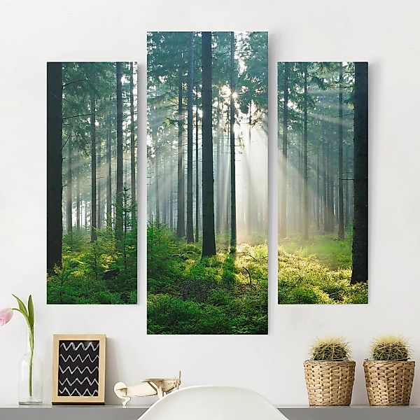 3-teiliges Leinwandbild Wald - Querformat Enlightened Forest günstig online kaufen