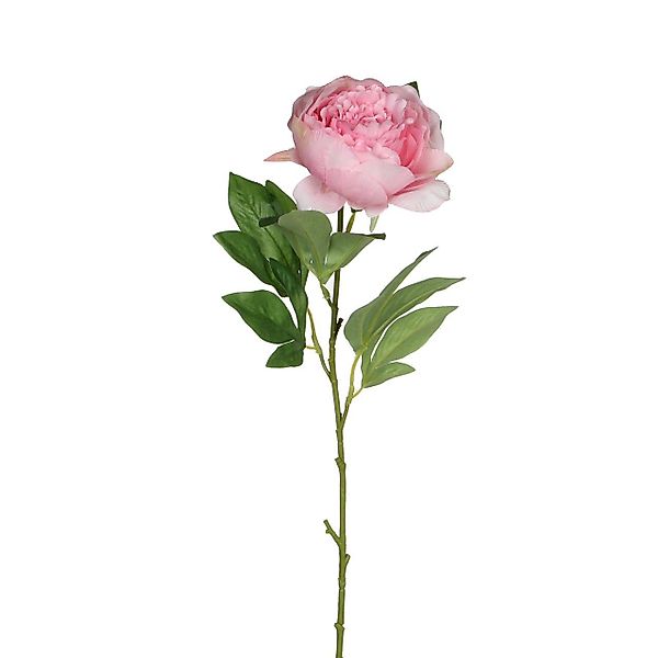 Kunstpflanze Mica künstliche Pfingstrose rosa 76 günstig online kaufen