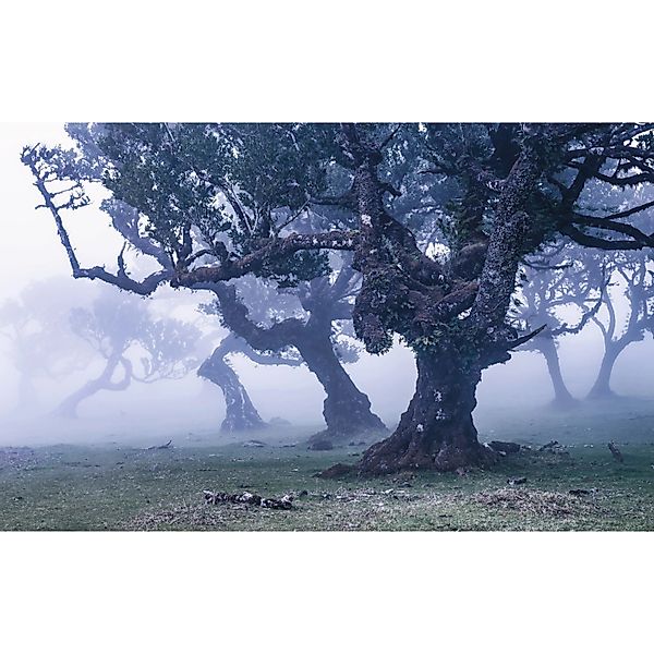 Komar Fototapete Vlies Ghost Line  400 x 250 cm günstig online kaufen