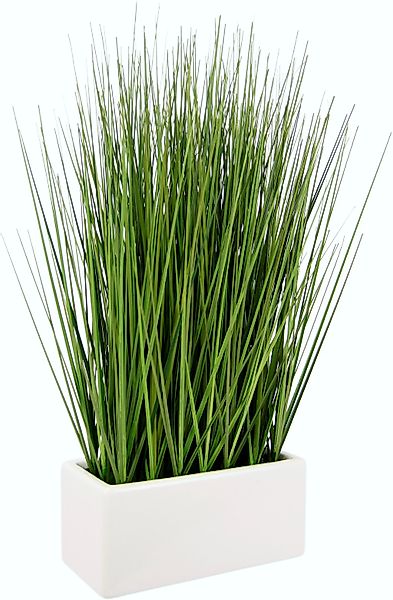 Kunstgras Gras, I.GE.A., Höhe 45 cm, in Keramikschale günstig online kaufen