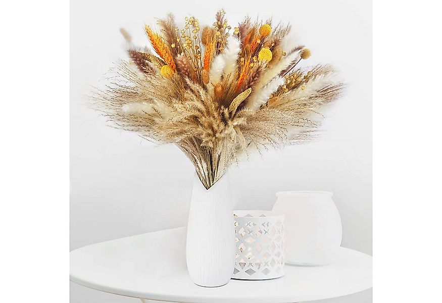 Trockenblume Pampasgras Trockenblumen Deko, 100 Stück Pampasgras Getrocknet günstig online kaufen