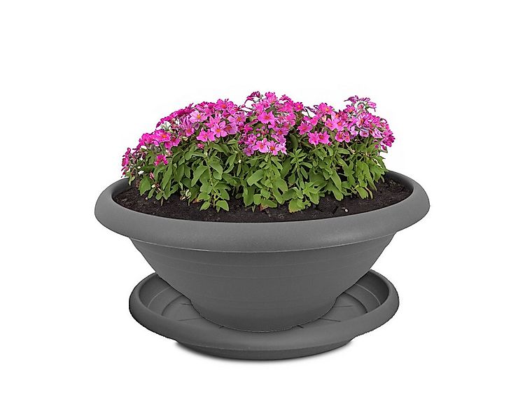 matches21 HOME & HOBBY Blumentopf Pflanzkübel mit Untersetzer für aussen 30 günstig online kaufen