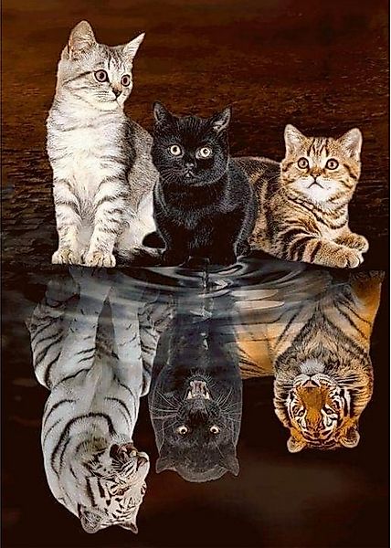 LA CUTE Malen nach Zahlen 5D Diamant Painting Set Katze Tiger für kreative günstig online kaufen
