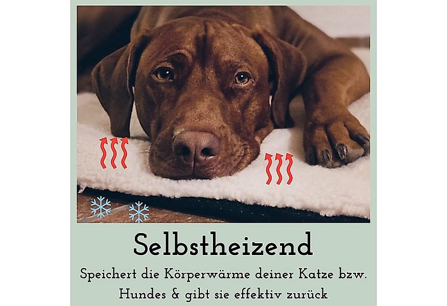 riijk Tierdecke Heizdecke, Plüsch, selbstheizende Hundedecke & Katzendecke günstig online kaufen