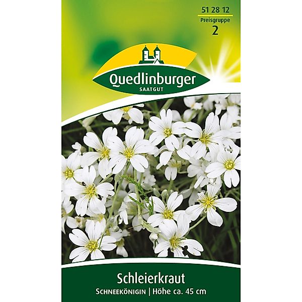 Quedlinburger Schleierkraut ''Schneekönigin'' günstig online kaufen