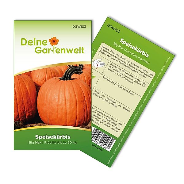 Deine Gartenwelt Speisekürbis Big Max Samen günstig online kaufen