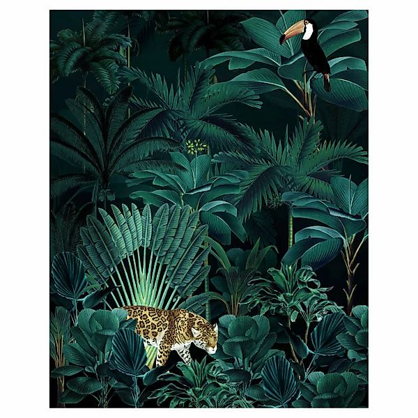 Komar Fototapete Jungle Night Dschungel B/L: ca. 200x250 cm günstig online kaufen