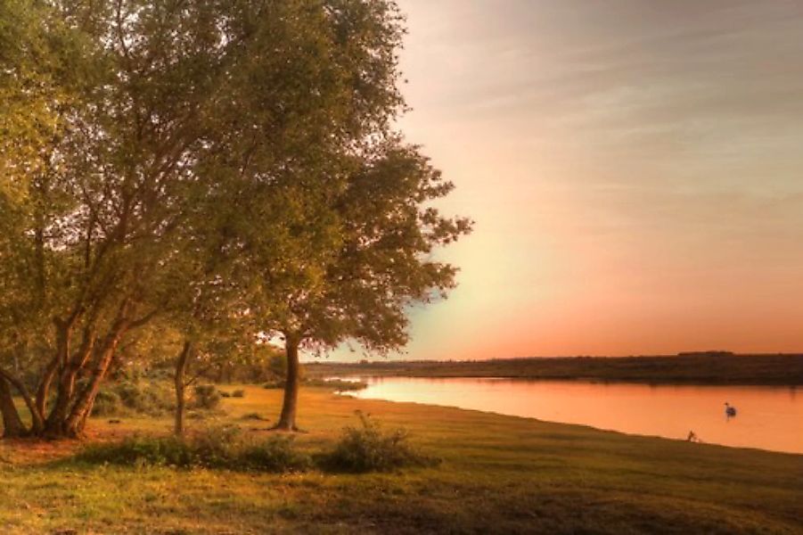 Papermoon Fototapete »SEE-NATUR LANDSCHAFT WALD IDYLLE BÄUME DÄMMERUNG MEER günstig online kaufen