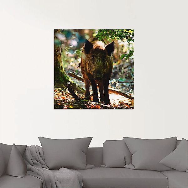 Artland Glasbild »Wildschwein«, Wildtiere, (1 St.), in verschiedenen Größen günstig online kaufen