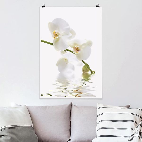 Poster - Hochformat White Orchid Waters günstig online kaufen