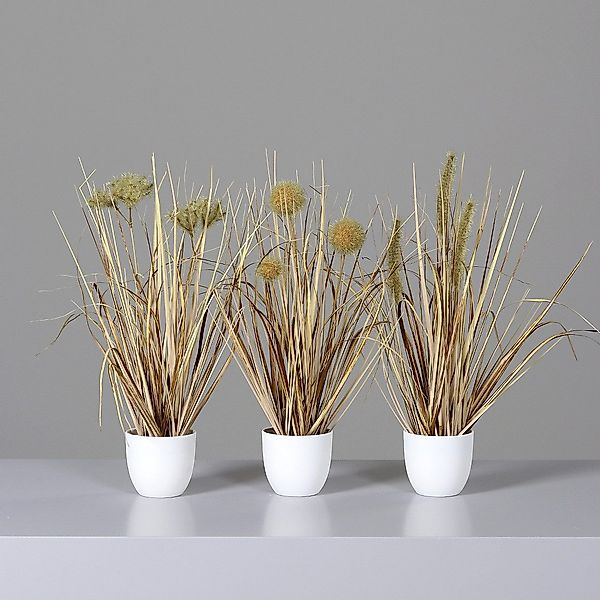 Kunstblume Topfpflanzen, DPI, Höhe 36 cm, günstig online kaufen