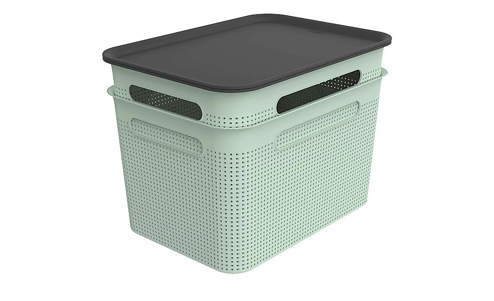 Rotho Aufbewahrungsbox, Set 4 tlg. - grün - Polypropylen - 36 cm - 26 cm - günstig online kaufen