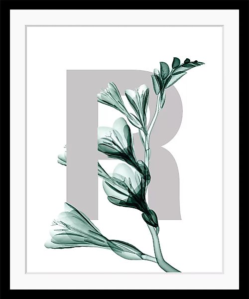 queence Bild "R-Flower", Buchstaben, Blätter, gerahmt, Blume günstig online kaufen